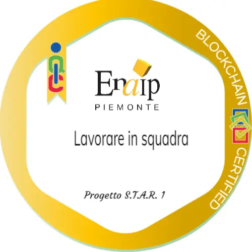 Badge pubblico 40857